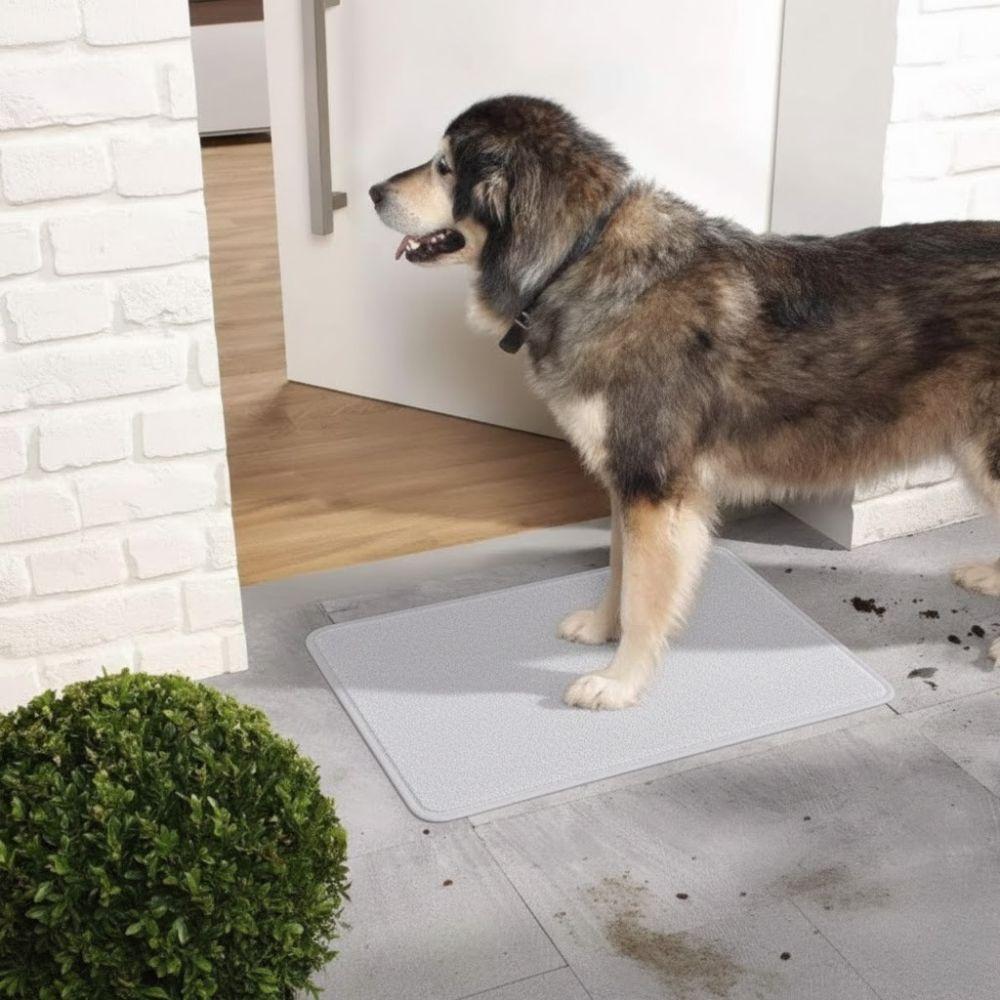 tappeto assorbente antisporco multiuso per casa 50x80 cm ad alta assorbenza - foto 5 tappeto assorbente antisporco multiuso per casa 50x80 cm ad alta assorbenza - foto 5