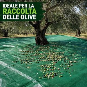 Telo antispina per raccolta olive  rete verde resistente disponibile in 3 misure